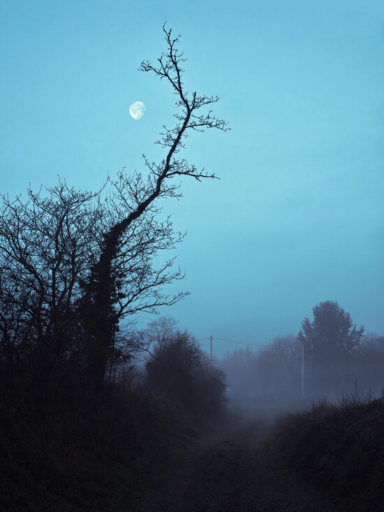 Moon in blue 