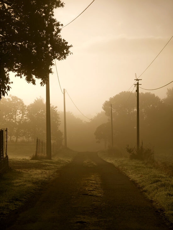 The Golden Path